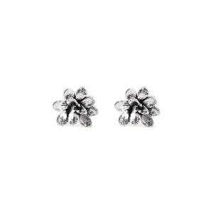 Aretes suculenta Dani en plata