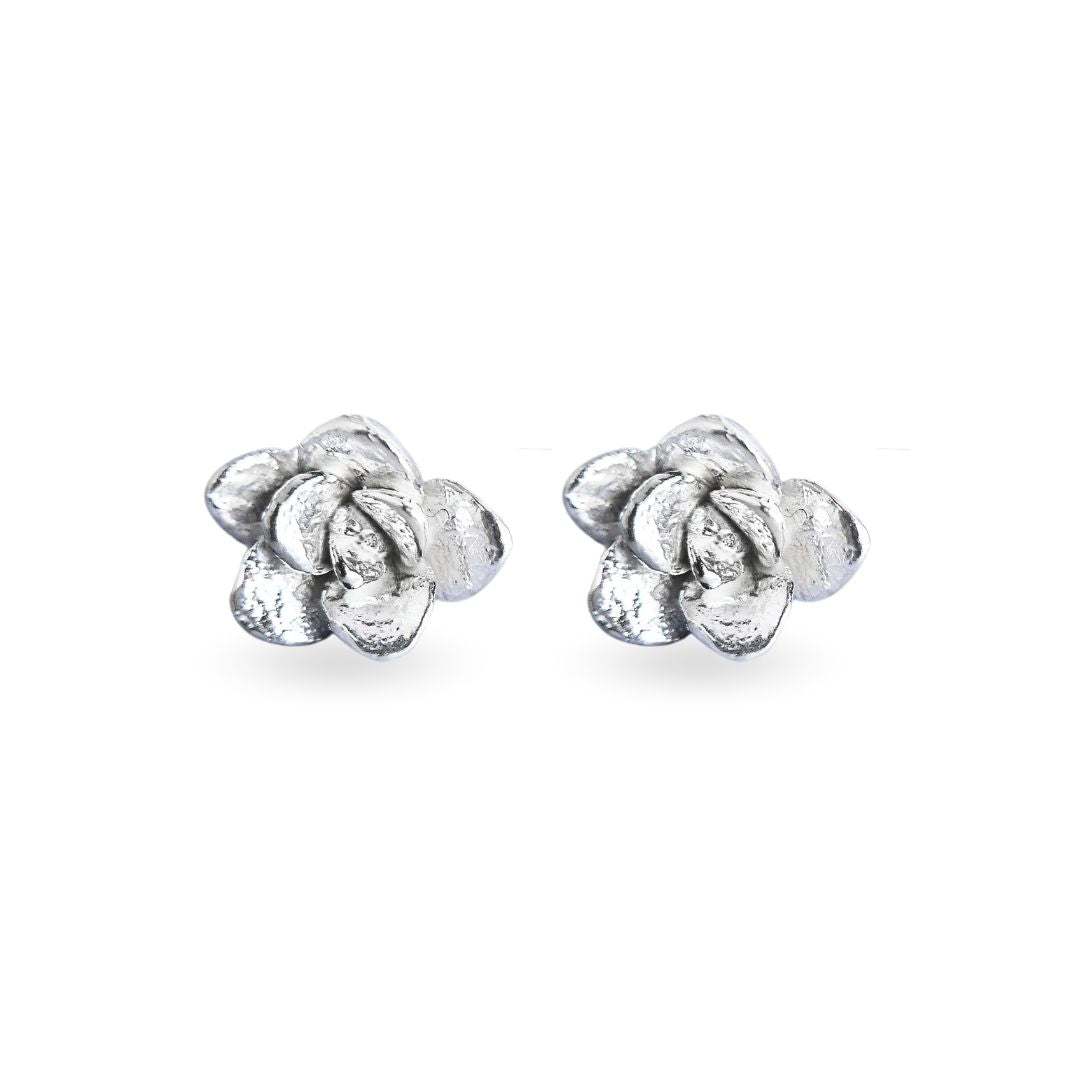 Aretes suculenta Delia (M) en plata