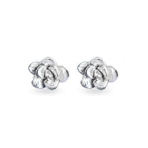 Aretes suculenta Delia (M) en plata