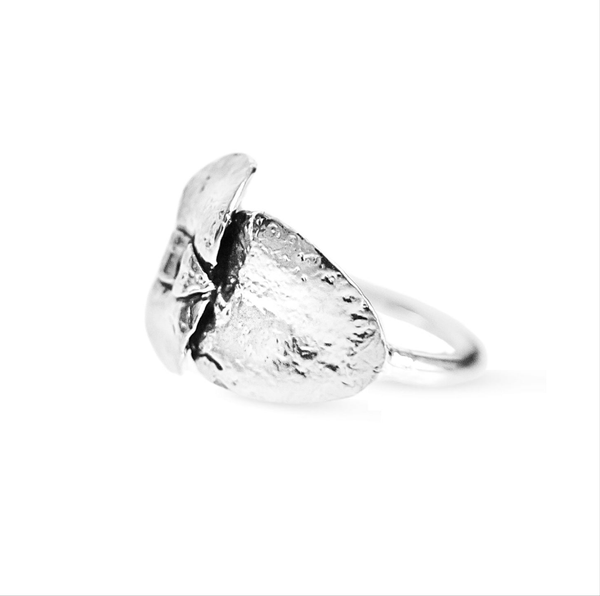 Anillo suculenta Vale en plata / Talla 6
