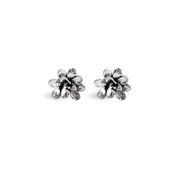 Aretes suculenta Dani (XS) en plata