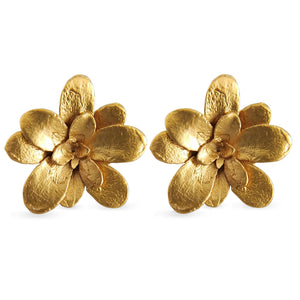 Aretes suculentas Cene en plata con baño de oro
