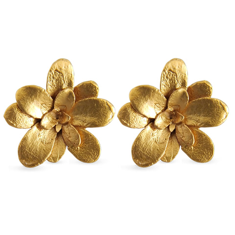 Aretes suculentas Cene en plata con baño de oro