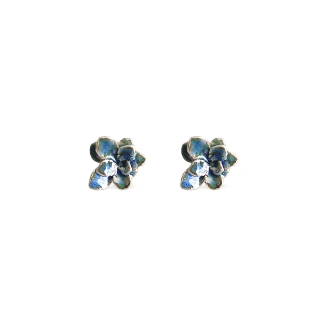 Aretes suculenta Clau en plata con esmalte