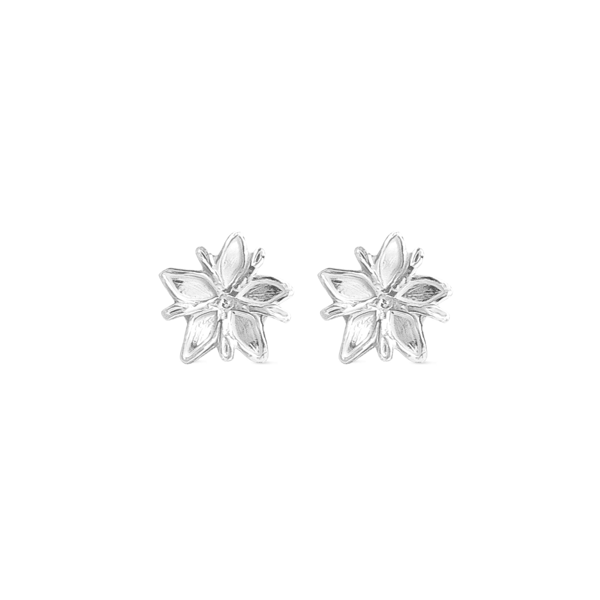 Aretes Flor de café mini en plata brillante