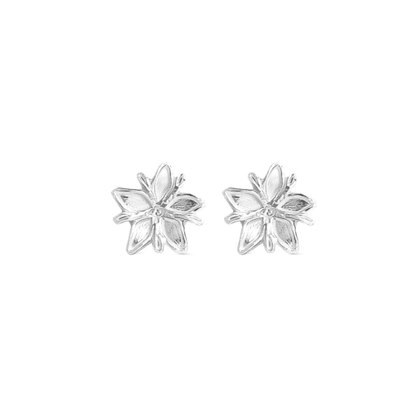 Aretes Flor de café mini en plata brillante