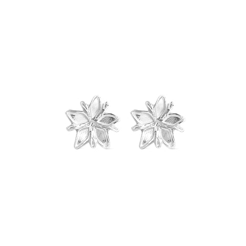 Aretes Flor de café mini en plata brillante