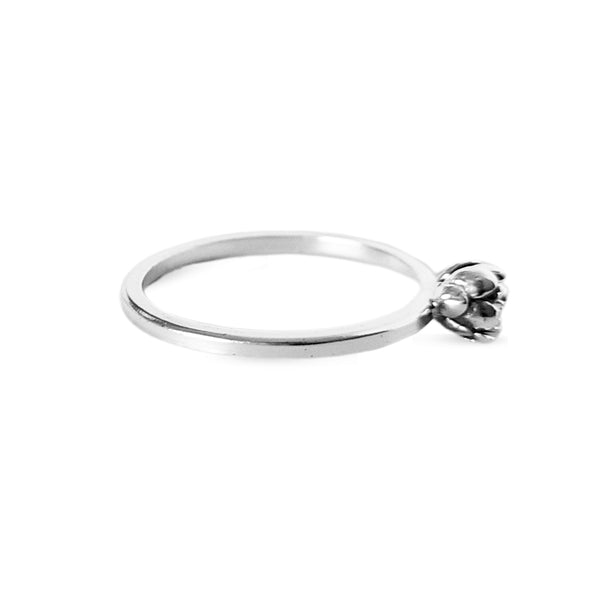 Anillo suculenta Sofía en plata / Talla 7