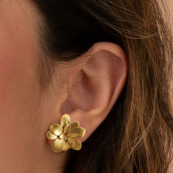 Aretes suculentas Cene en plata con baño de oro